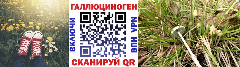 Галлюциногенные грибы мухоморы  мега онион  Дзержинск  как найти закладки 